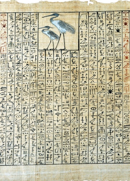 Book of the Dead of Nakht Thebes, Egypt 1350-1300 BCE. Nakht was a royal scribe and overseer of the 