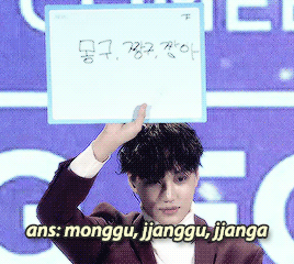 dyominos:  kai only has 3 dogs sehun…. 