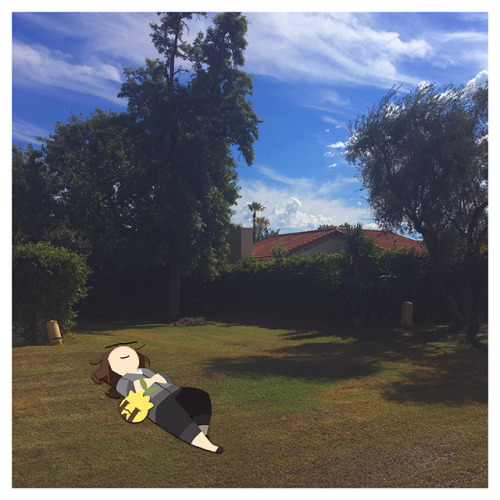 Sunkern belongs to Pokemon . Artwork by Meredith McClaren[Description: A photo of a lawn.  A ca