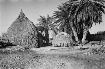 أكواخ وادي ضمد ووادي حلي. 1946-1947م. تصوير: ولفريد ثيسجر