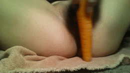 mrandmrsdoesdirtylilsecret:  Anyone want to taste this carrot?  😋 tee hee I’m so naughty…