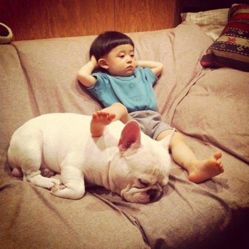 Cute Friendship Between Japanese Boy & His Bulldog