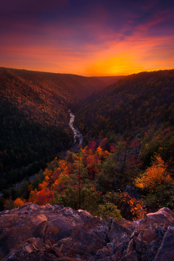 magicalnaturetour:  Take me home by porbital  