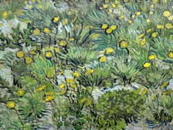 helyanthus: Vincent Van Gogh 