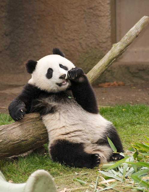 llbwwb:  Lunch break. By Rita Petita.