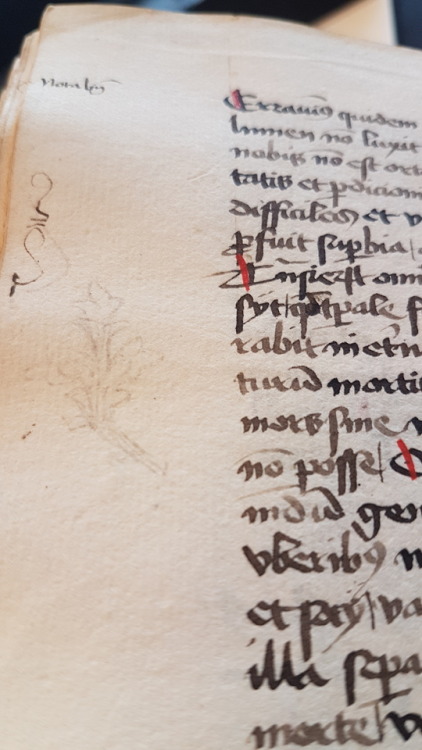 Ms. Codex 709 - Horalogium sapientiaeThis manuscript features the Horologium sapientiae, a myst