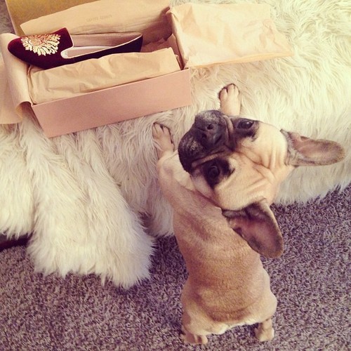 h-ydration:  mihsty:  awh  ♡more posts like this here♡ 