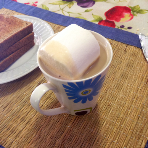 mememaster:  I told me mom I only wanted 1 marshmallow…