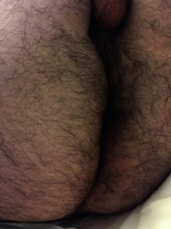 mountainguy000:  My furry butt and crack…
