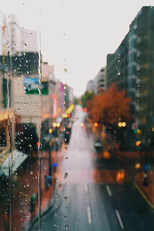 aestum:  Waiting for the Rain to Stop (by wenzday01)
