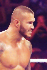 Sex theprincethrone-deactivated2016:  Randy Orton pictures