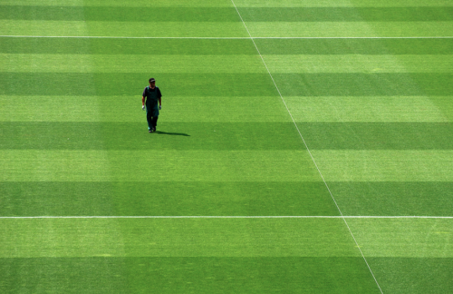 XXX tapist:  Pitch Inspection  photo