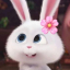 sunnybunnybabygirl
