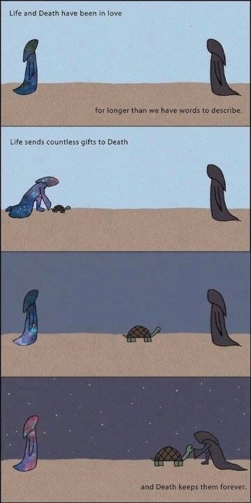 This is a beautiful idea of life