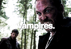 flowercrownyuriarchive:  spn memeeight supernatural beings 