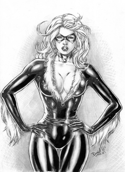 Black Cat by David Lima