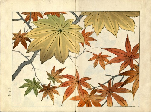 Bundle up, Brooklyn! #BKMLibrary is celebrating the wonderful and fleeting fall season with autumnal