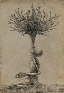 ¿?