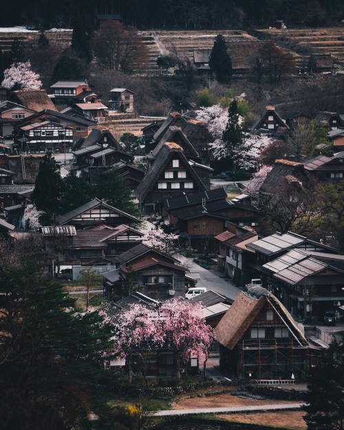 takashiyasui: Shirakawago in spring