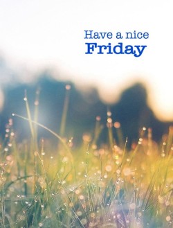 s-usans-blog:Good Morning, have a nice day☀️