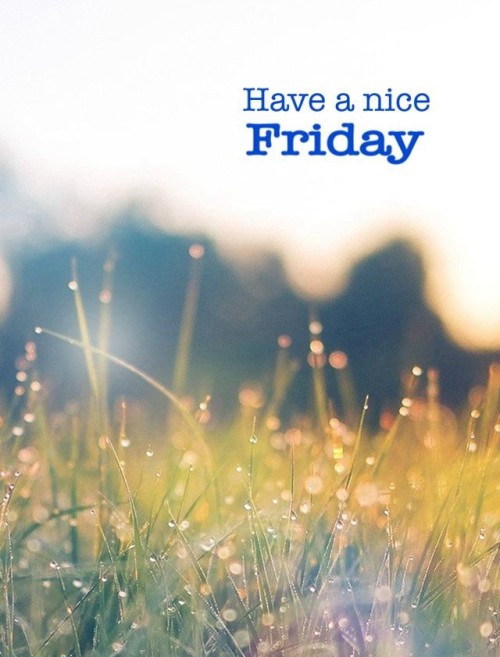 s-usans-blog:Good Morning, have a nice day☀️