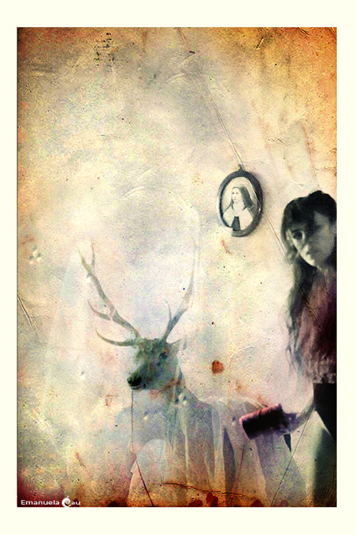 emanuelacauphoto: © Emanuela Cau autoportraitI want my facebook my shop