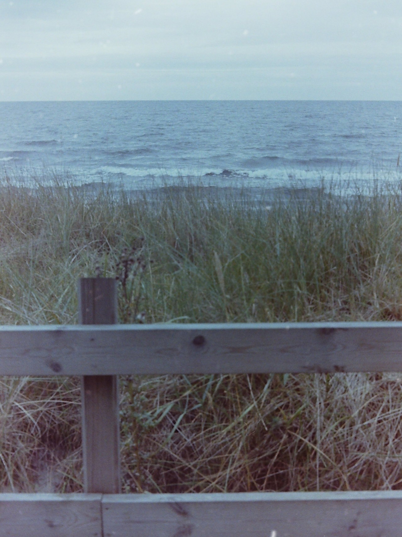 maximalanders:  Sweden, 2015camera: Voigtländer Vito IIhttp://maximalanders.de/FlickrFacebook