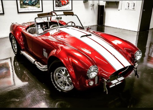 yourcarsstuff:  Beautiful Cobra