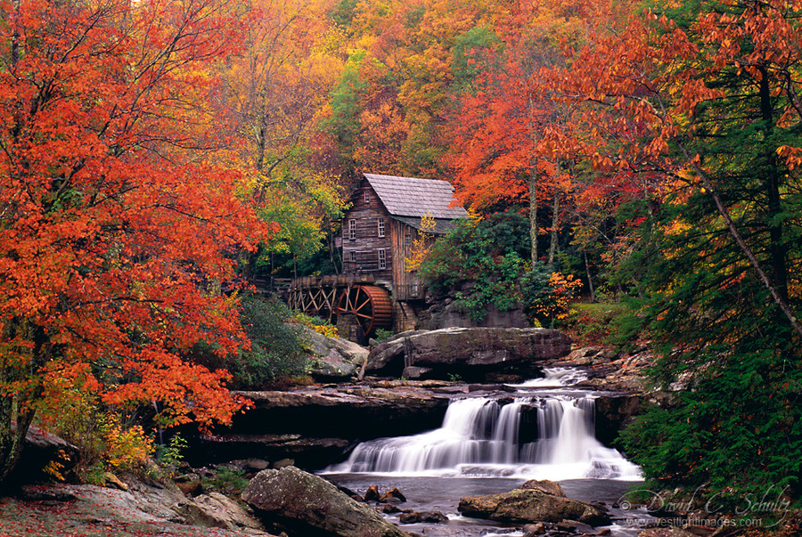 woodendreams:  (by David C. Schultz)
