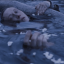 melancholysepia