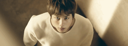 Spring Day, Seokjin