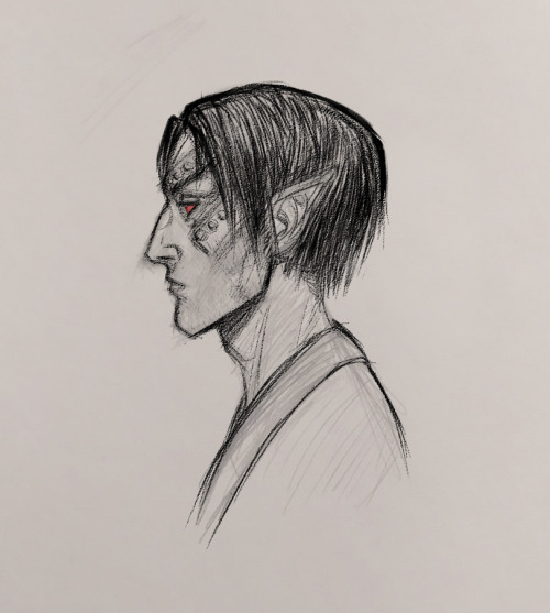 A Nerevarine? A Random Guy? No, He's A Secret Third Thing