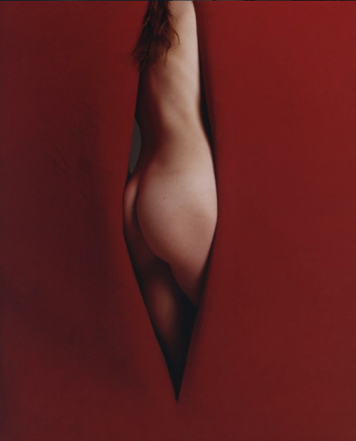 milkstudios:  Love is in the air Photo: Harley WeirMore photos here. 