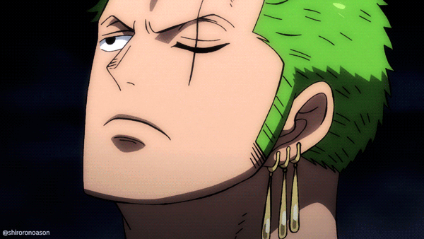 CapCut_zoro being bothered by sanji
