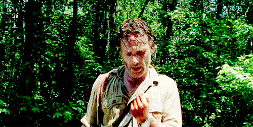 The Walking Dead Guide