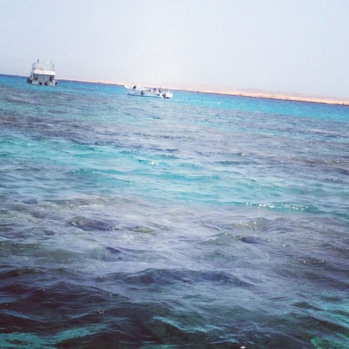 #RedSea #snorkeling #Egypt