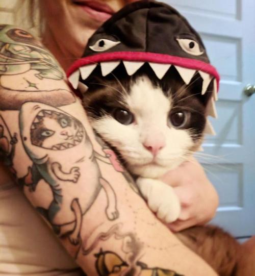 awwww-cute:  my girlfriend’s tattoo of her cat in a shark costume and her actual cat in a shark costume (Source: https://ift.tt/2woubqO)