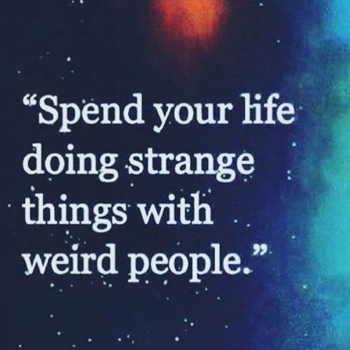 Makes me think of Sir.  Lol