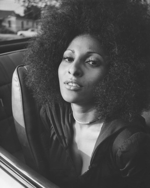 syd—vicious: Pam Grier 🧨