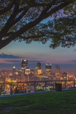 visualechoess:  Pittsburgh skyline - by: Dave DiCello   :oo que hermosoo♡