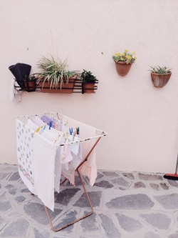 vilicity:  Plants in Burano, Florence &