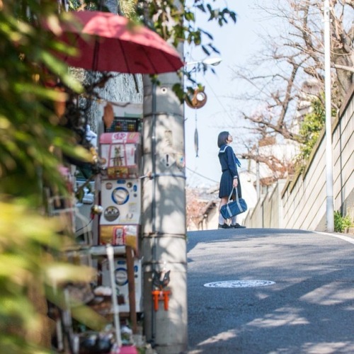 #portrait #photograph #photoshoot #japanese #japaneseview #schooluniform #girl #spring #架空荘 #kakuuso