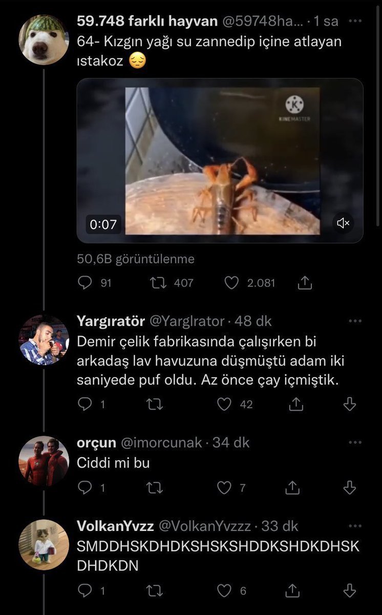 Bu tweetin altına internet...