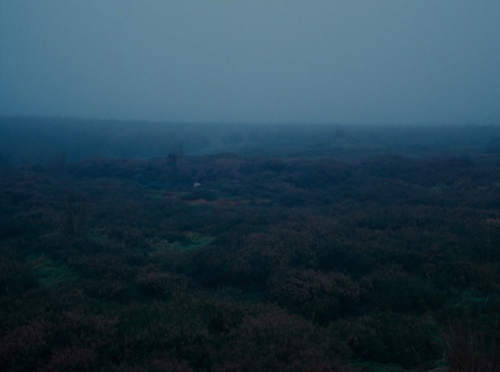 somvei: wuthering heights (2011)