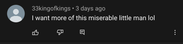 youtube comment by 33kingofkings reading "I want more of this miserable man lol"