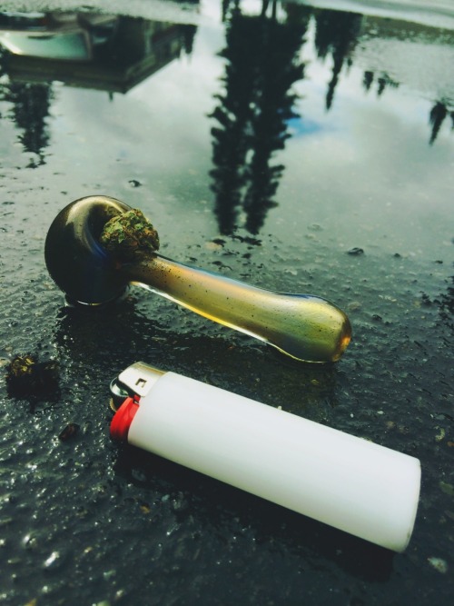 zona-lowe-smokes.tumblr.com/post/93825854489/