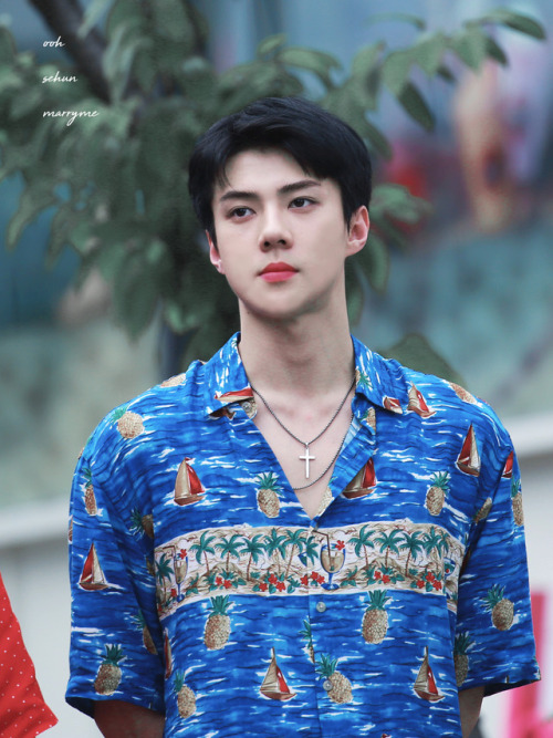 fy-exo:ooh sehun marry me | do not edit.