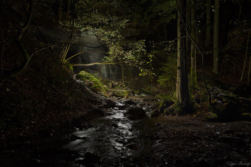 sjalvdestruktiv: Murrhardt forest lightpaint by Ralph Oechsle