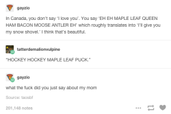 buzzfeedcanada:  19 Times Canada Mercilessly Trolled The Rest Of The World On Tumblr 