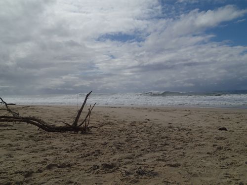 Desert beach break peak in NSW